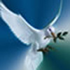 Mediumship